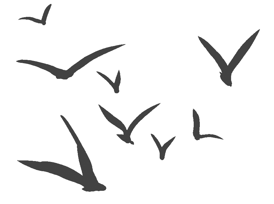 Flying birds